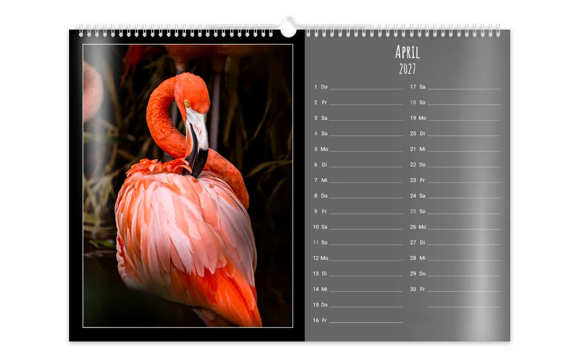 HappyFotokalender ca. A3 quer Ein HappyFotokalender ca. A3 quer zeigt ein großes Kalendarium, daneben einen Flamingo vor dunklem Hintergrund.