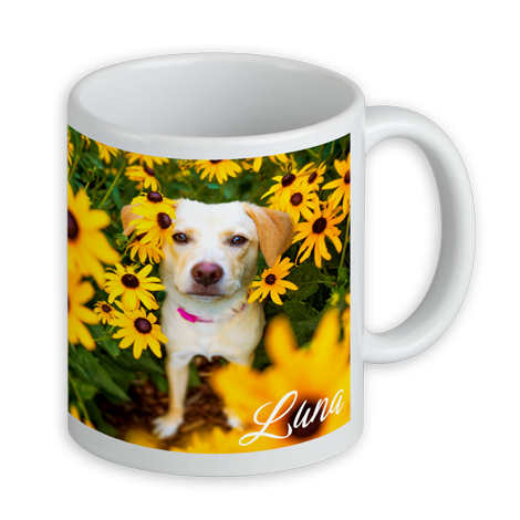 Tasse mit Hundebild vor Sonnenblumen, Name "Luna" in der unteren Ecke.