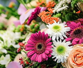 Geschenkverpackungen in verschiedenen Farben und Mustern auf einem Tisch, dekoriert mit etwas Grün.