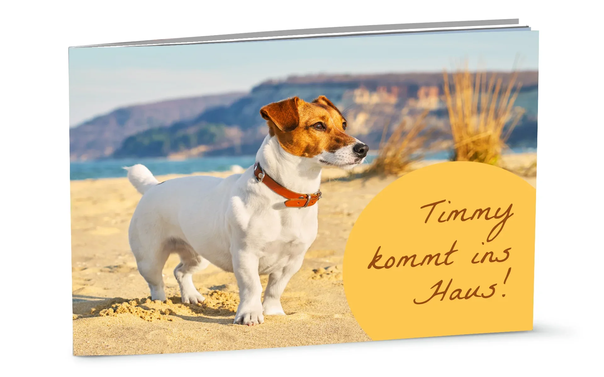 Happy Fotobuch ca. A5 quer Ein aufgestelltes Happy Fotobuch ca. A4 hoch mit dem Titel Timmy kommt ins Haus zeigt einen Hund am Strand.