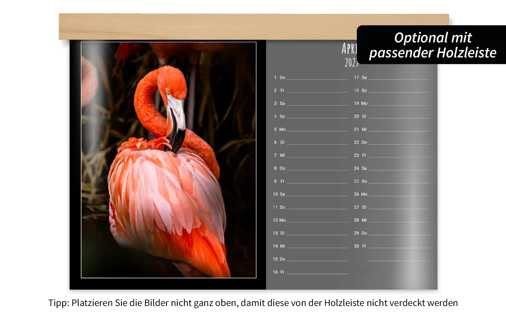 HappyFotokalender ca. A3 quer mit Holzleiste Ein HappyFotokalender ca. A3 quer mit Holzleiste zeigt ein großes Kalendarium, daneben einen Flamingo vor dunklem Hintergrund.